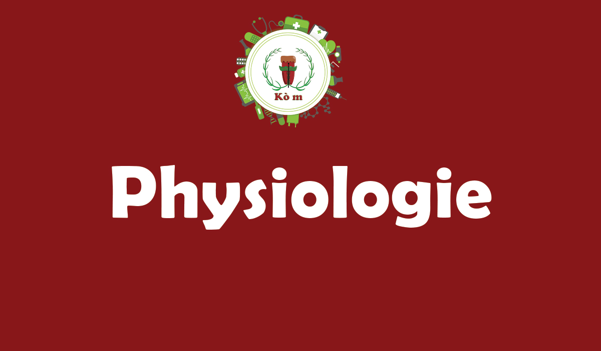 Physiologie humaine: Définition et application - KòM